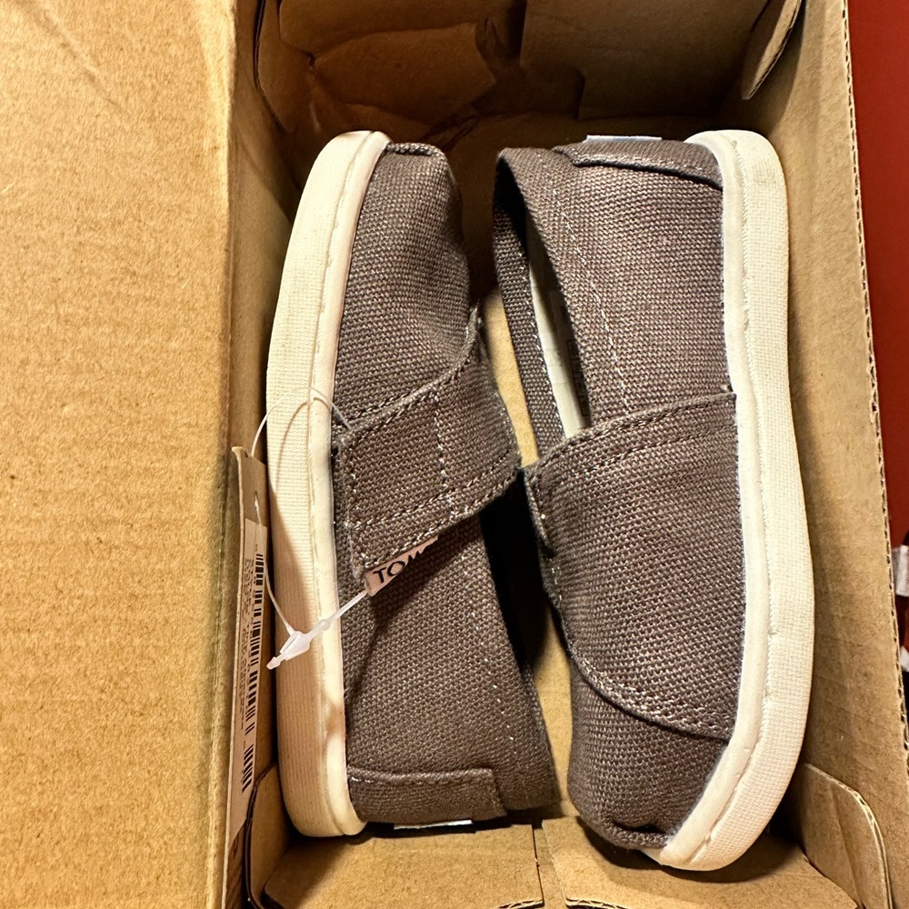 Toms Ash Canvas New